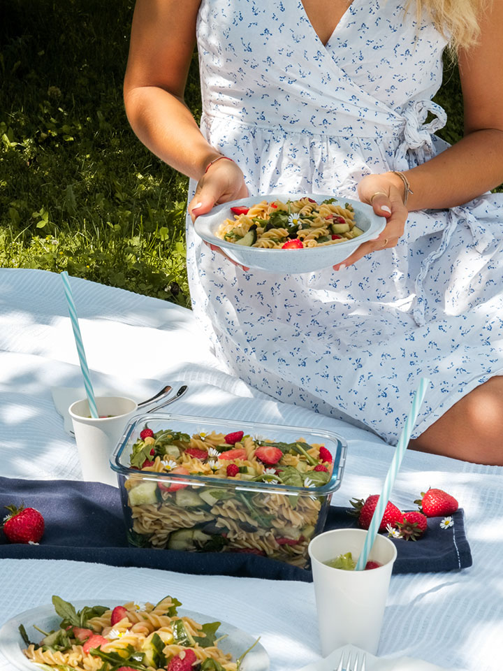 picknick-mit-nudelsalat